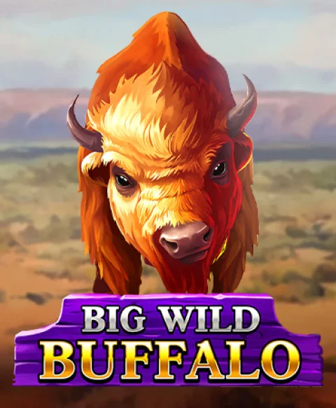 Play Big Wild Buffalo at Sun Pura Casino